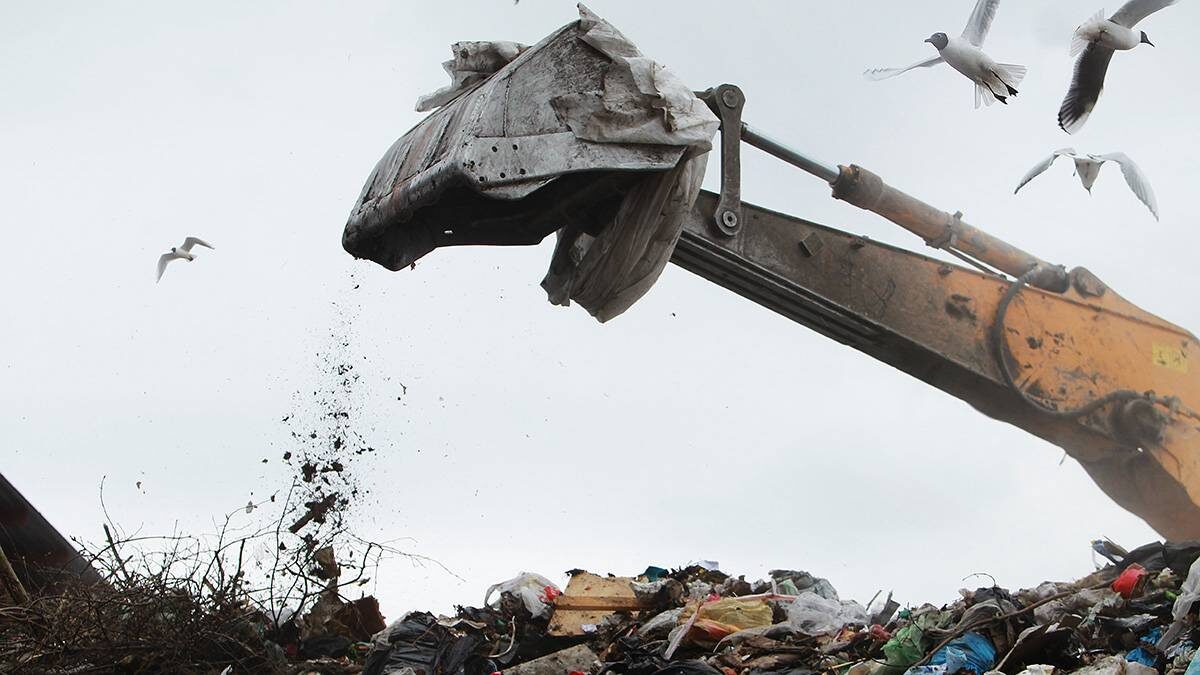    Фото: Наталия Нечаева / Вечерняя Москва