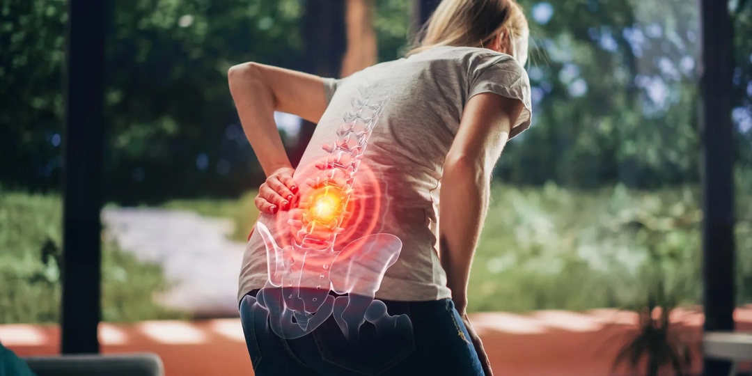 Гормон, который «отгоняет» боль: паратиреоидный секрет против хронической спины