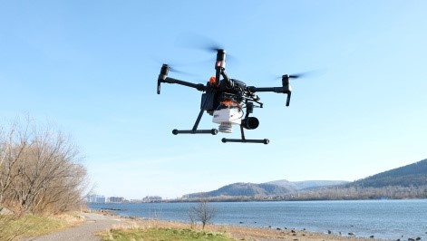 Фото: Институт биофизики СО РАН