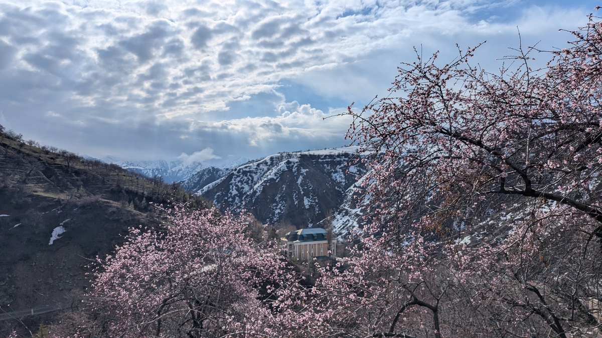 Пейзажи у санатория