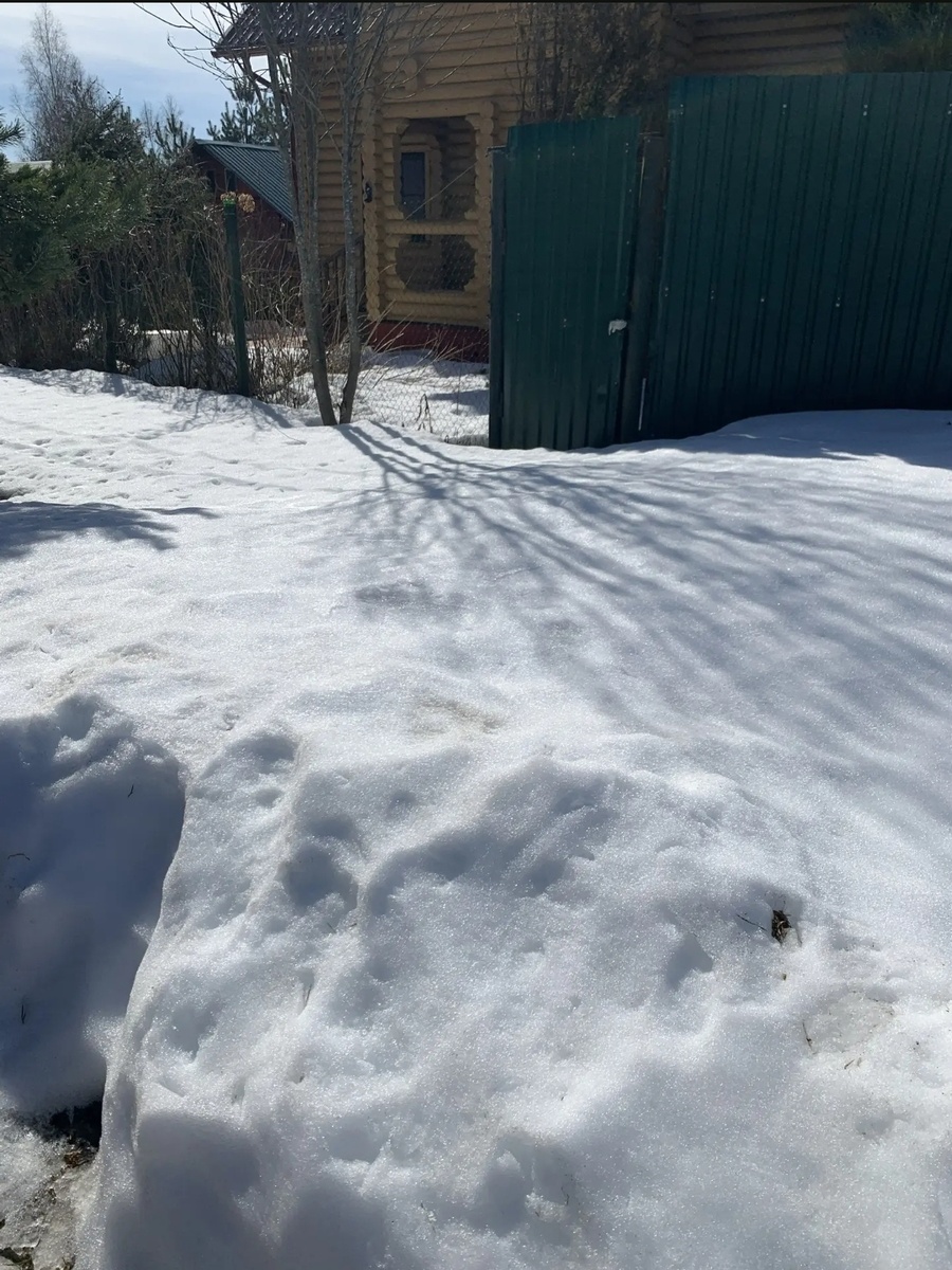 Тут снега полно потому, что один раз зимой сюда его со всего СНТ трактор счистил. Но наст плотный. До калитки дошли нормально. 