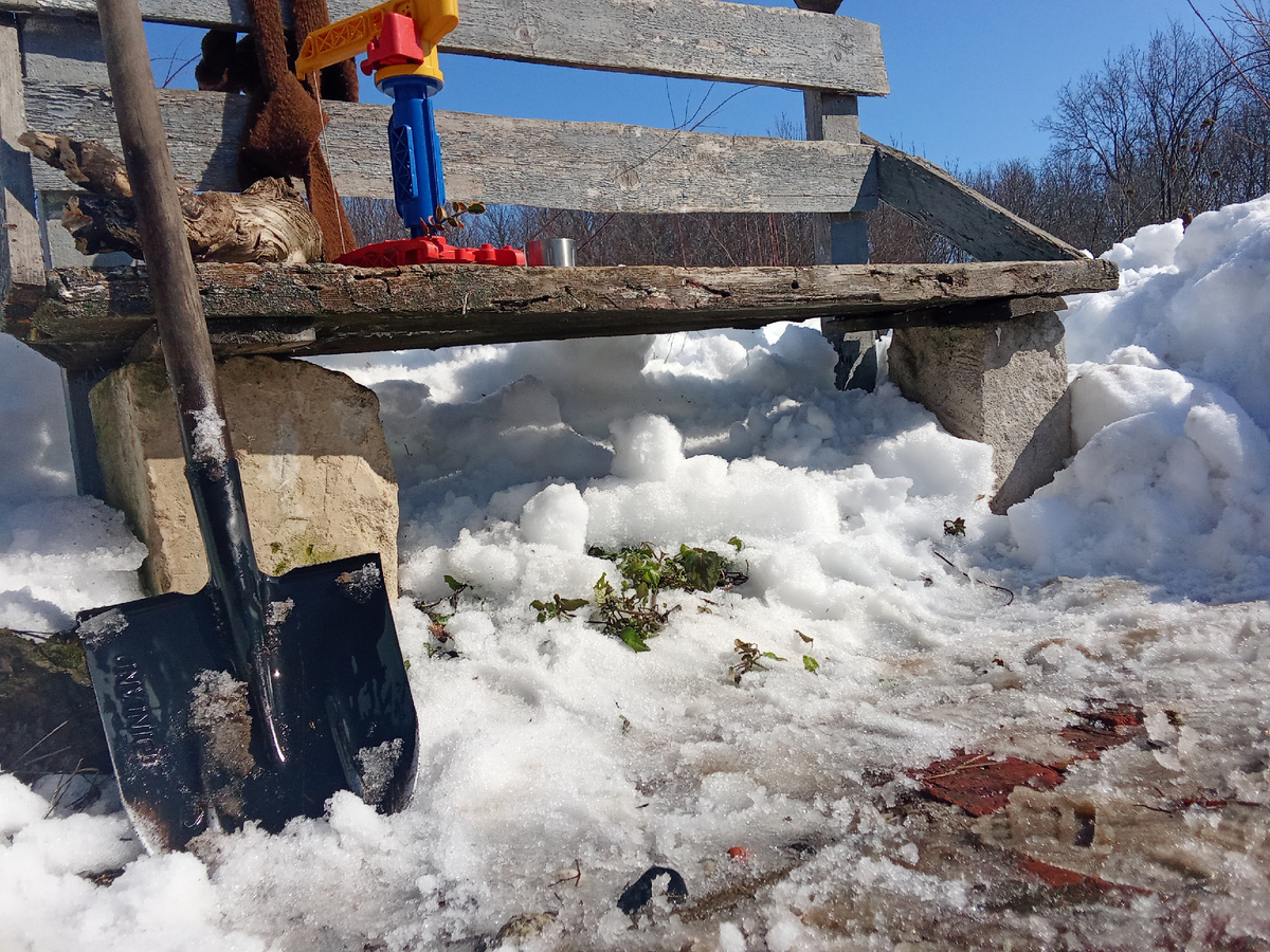 Откопали скамейку. В феврале она была засыпана до верха спинки
