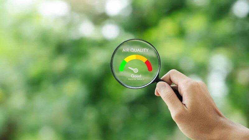    Фото: Deemerwha studio/Shutterstock/Fotodom