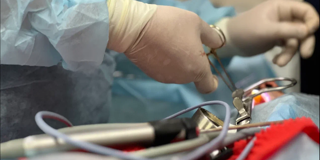 Тишина как лекарство: ваш личный детектив по восстановлению голоса.