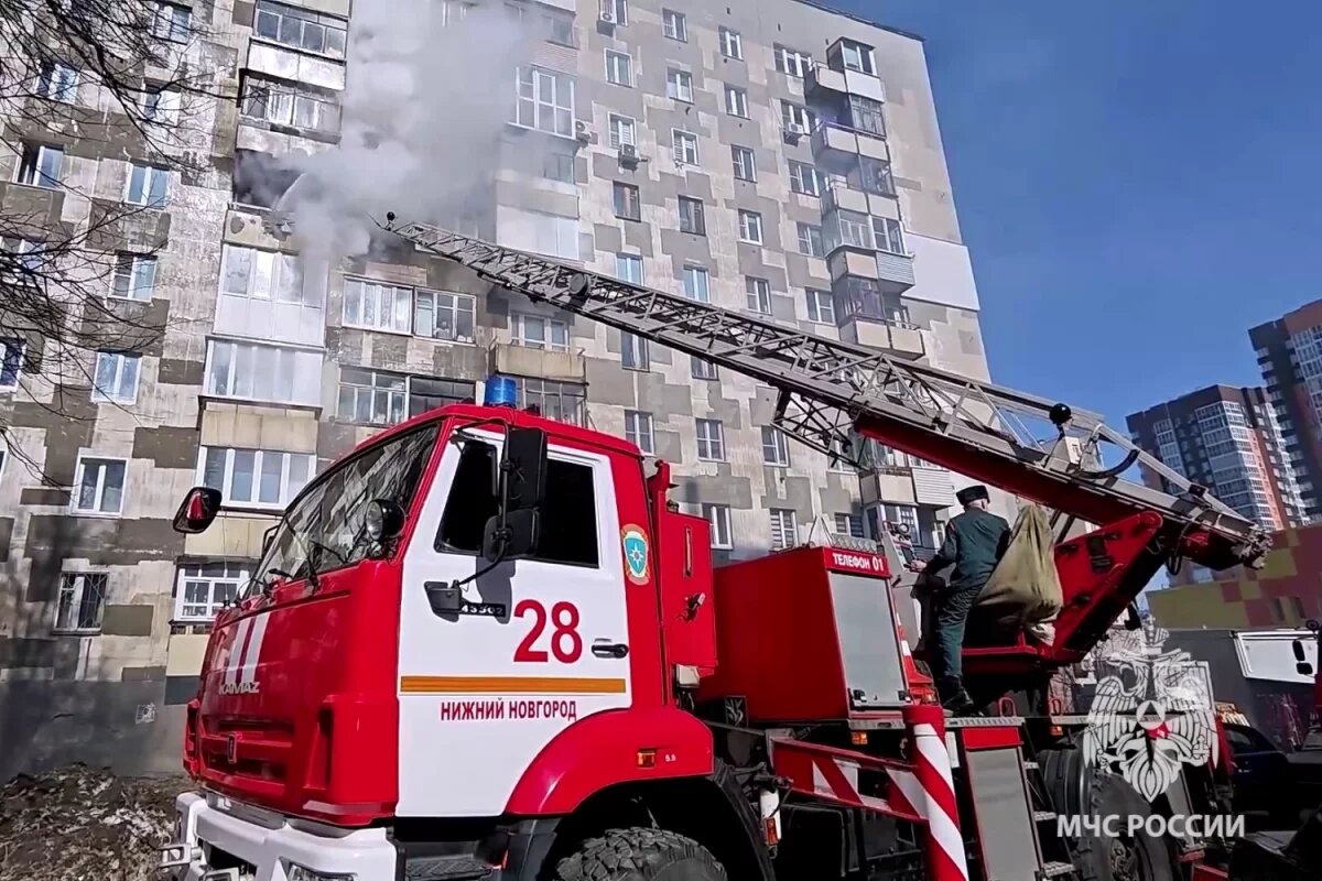    15 человек, кошку и собаку спасли из пожара в Нижнем Новгороде