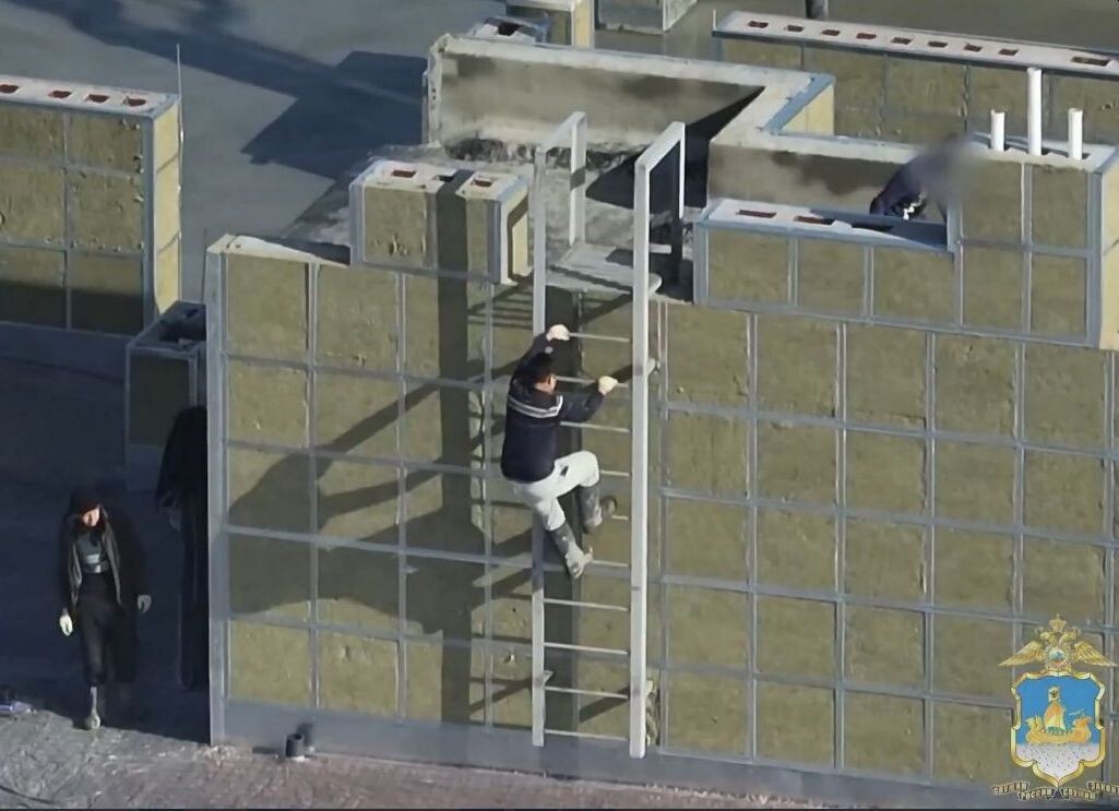 Фото УМВД России по Костромской области.