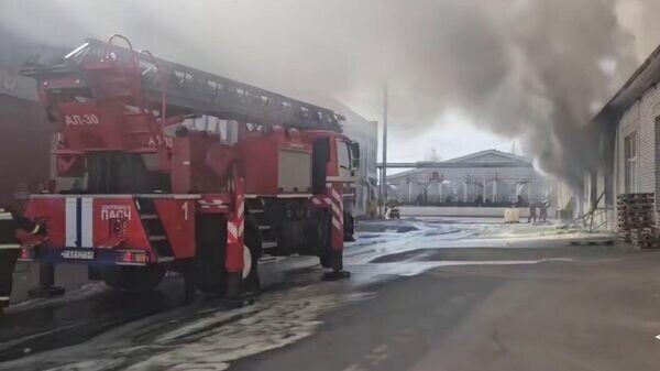    © Telegram / МЧС Беларуси