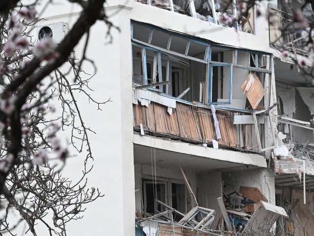    Фото: РИА Новости/Константин Михальчевский