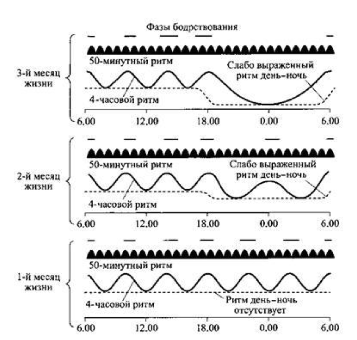 П.Шпорк "Сон. Почему мы спим и как нам это лучше всего удается" https://litlife.club/books/155397
