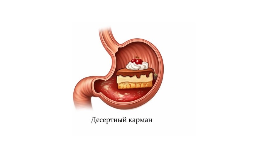 Строение желудка и феномен «кармашков»: почему у нас всегда есть место для десерта?