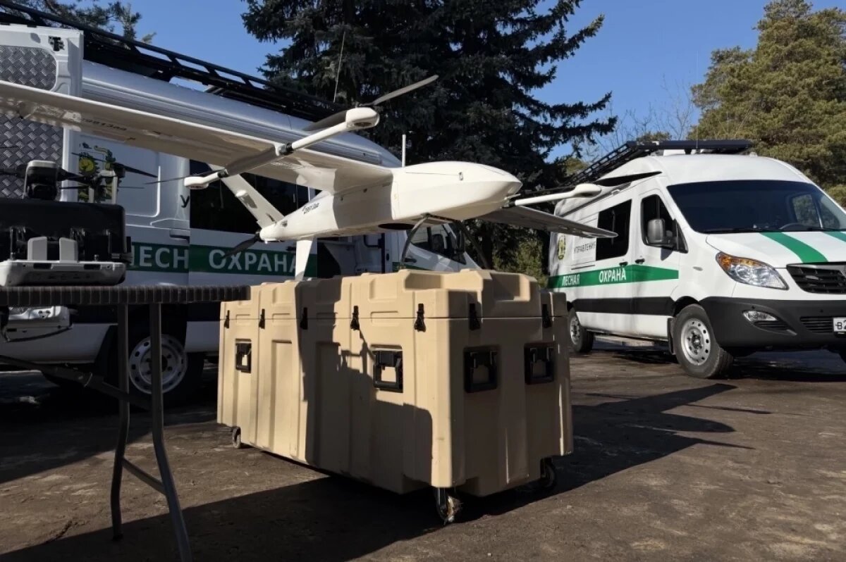    Авиагруппы для защиты лесов от пожаров создали в Нижегородской области