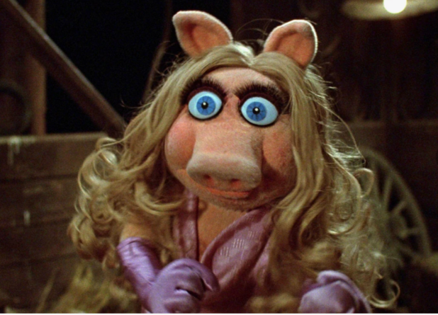 Из открытого доступа Рунета.