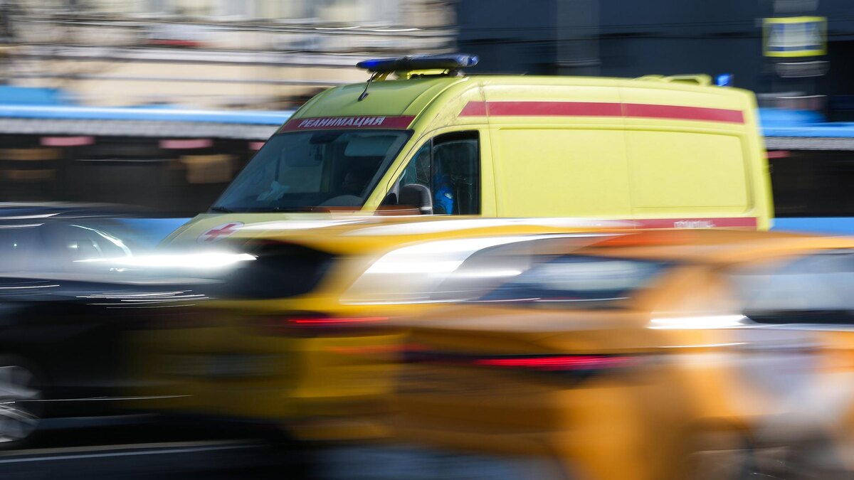    Фото: ИЗВЕСТИЯ/Дмитрий Коротаев