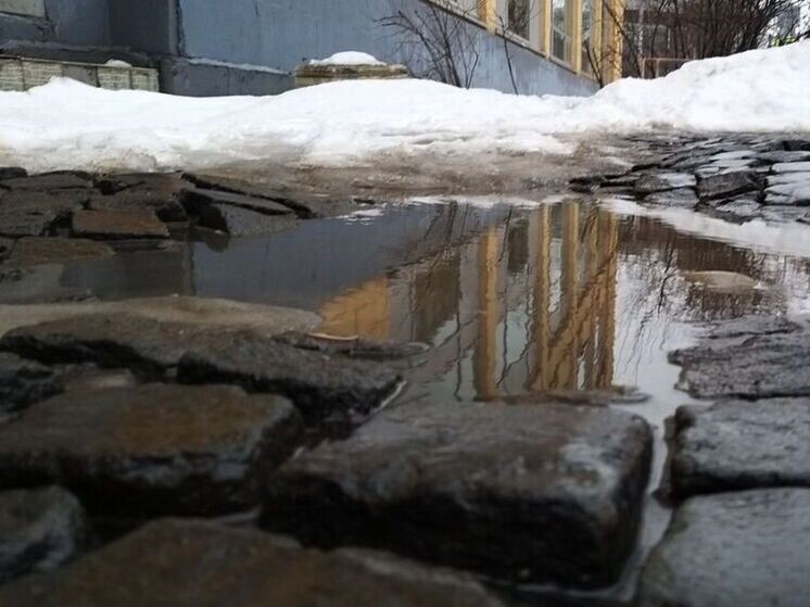     Фото: архив МК в Калининграде