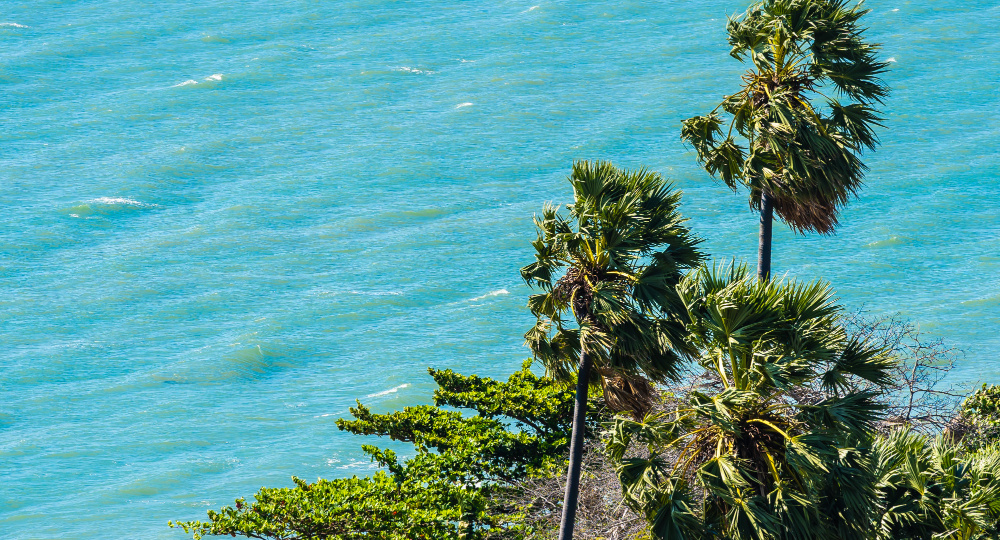 Россияне в Гоа остались без фирменных блинчиков