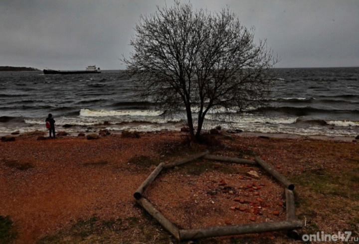 фото: Валентин Илюшин/Online47