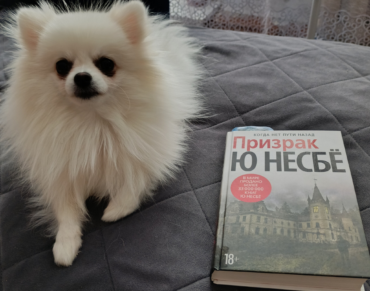 Очередной роман из серии об опальном инспекторе  Холе представляет Бэлла. 