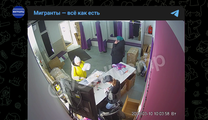 Фото: Telegram-канал "Мигранты - всё как есть"