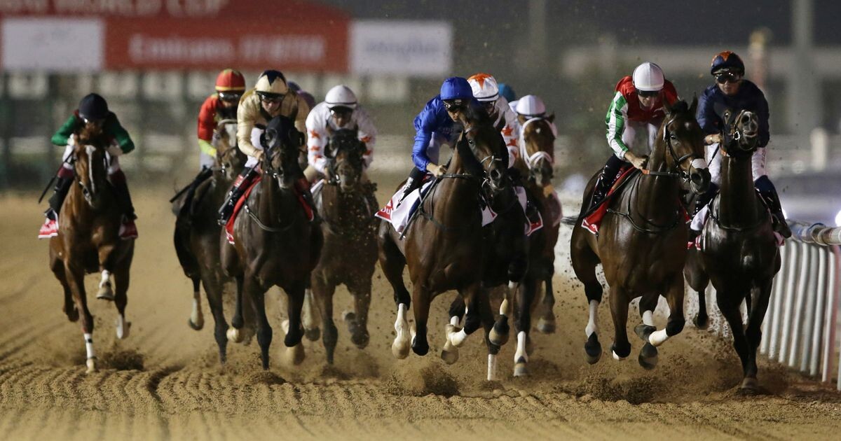 Скачки чистокровных лошадей проводятся ежегодно с 1996 года на ипподроме Мейдан, что в переводе с арабского означает место, где люди собираются и соревнуются, своего рода место встречи в эмирате Дубай, Объединенные Арабские Эмираты. Гонка проводится через Emirates Racing Authority, председателем которой является шейх Мансур бен Заид Аль Нахайян, министр по делам Президента Объединенных Арабских Эмиратов. В программе девять скачек, состоящих из восьми соревнований Чистокровных лошадей и одного соревнования чистокровных арабов.