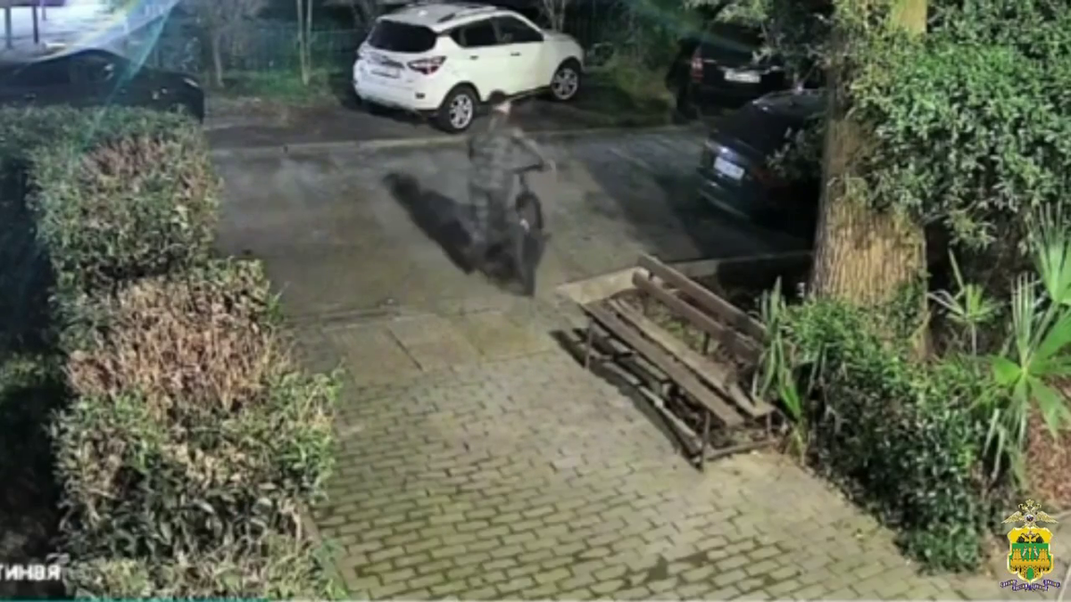    Фото: Telegram/Полиция Сочи