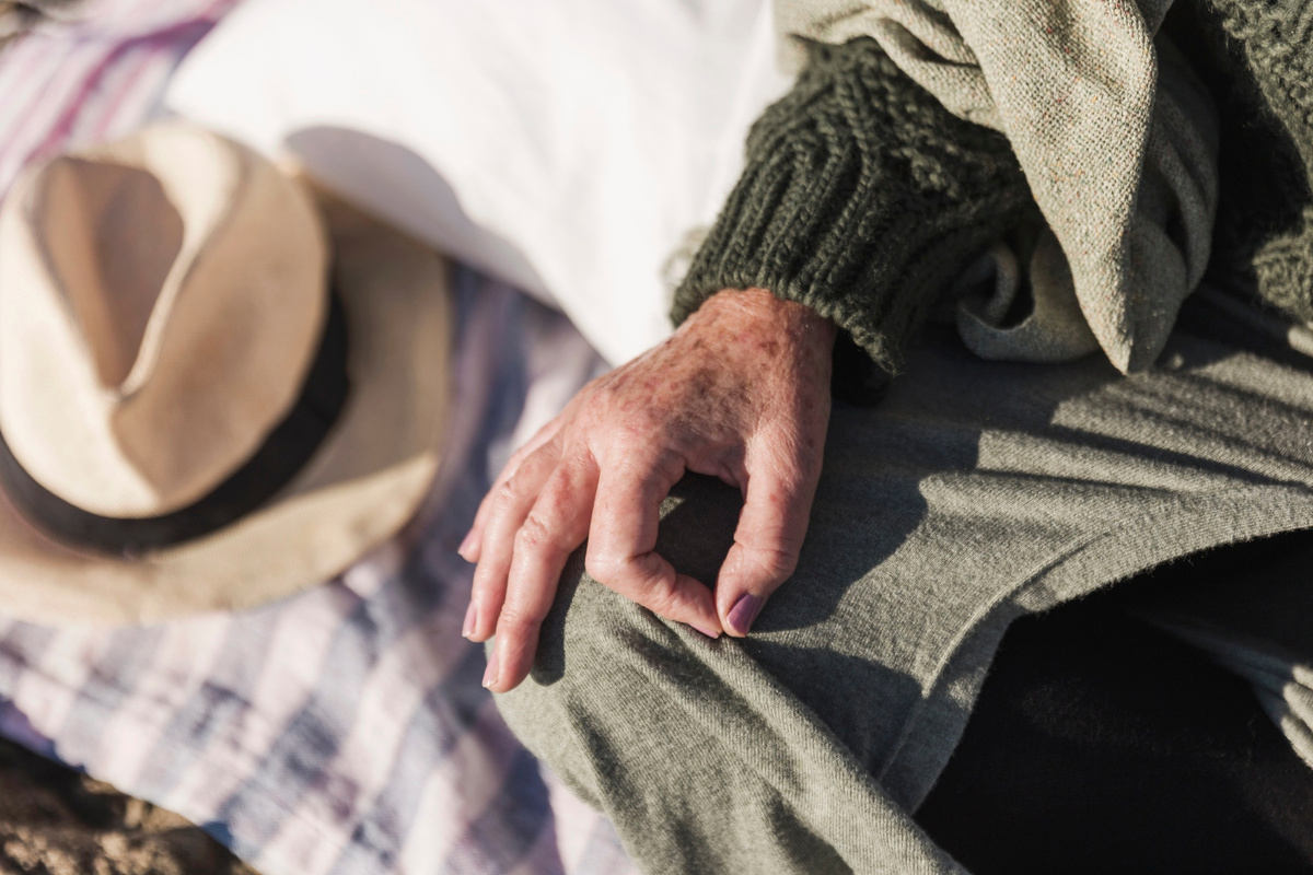 Фото: freepik.com/freepik  📷
