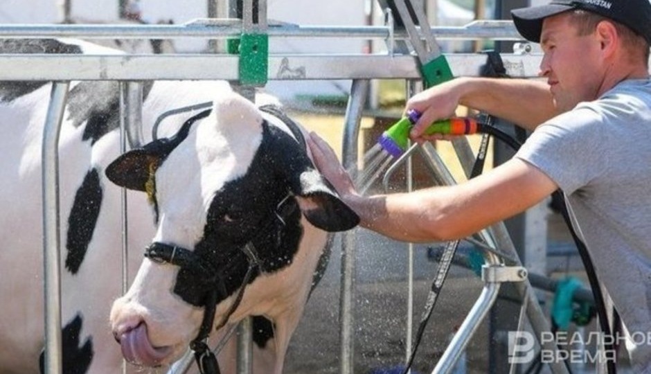 Выплаты пострадавшим от пастереллеза получили 228 семей