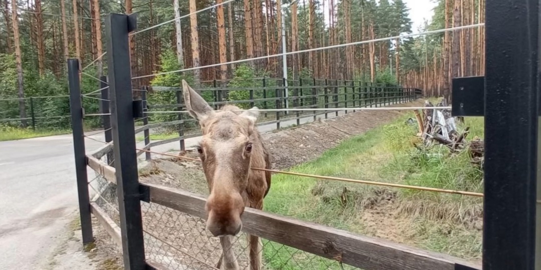 Что посмотреть в Ярославле. Места на любой вкус