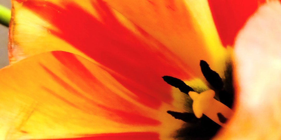 Действие Космического Магнита. "Космический магнетизм насыщает каждый жизненный процесс"