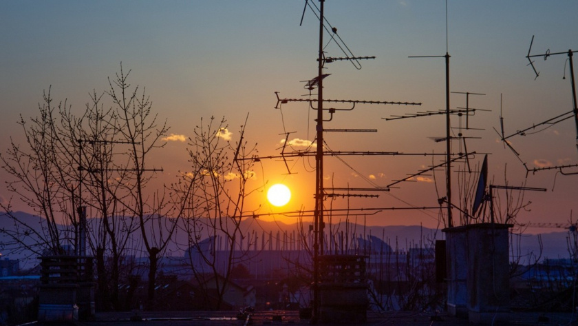    Фото: сайт freepik.com