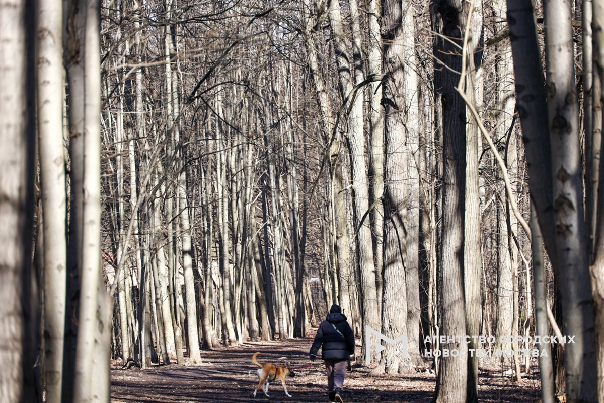 Фотограф: Ярослав Чингаев