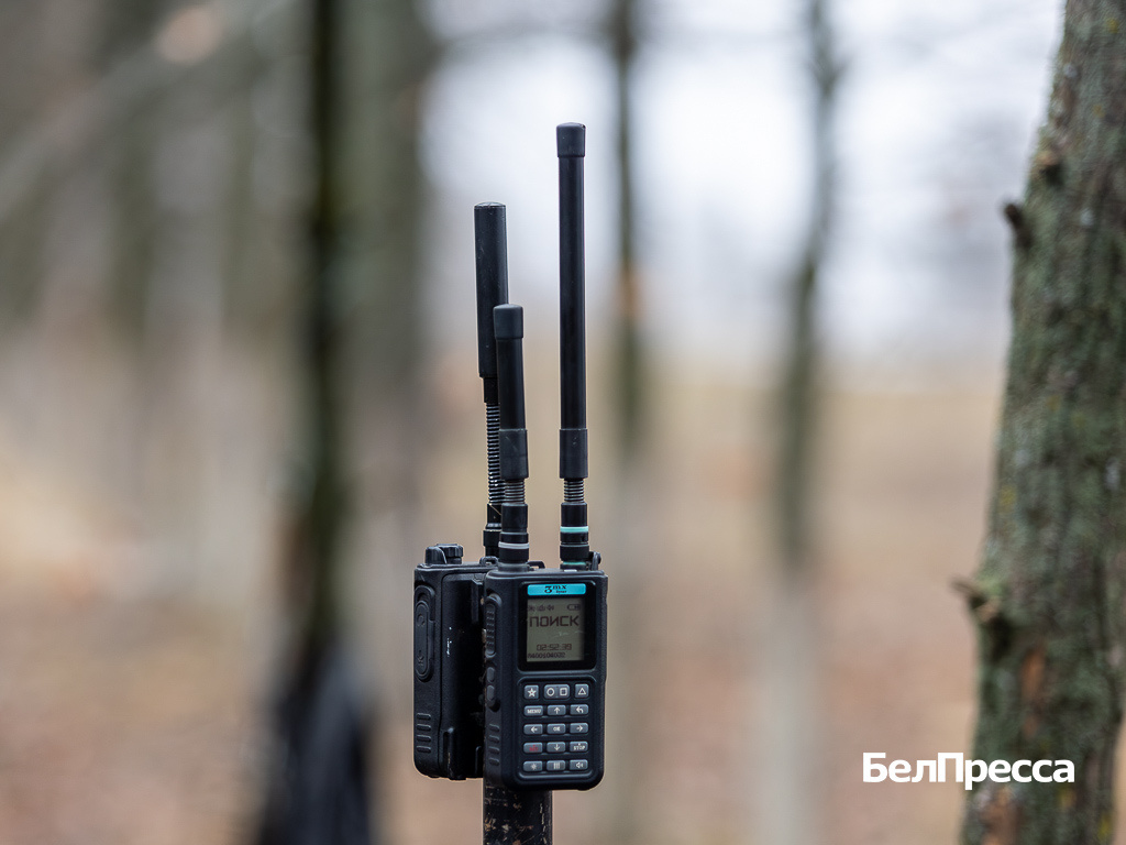     Фото: Алексей Дацковский (архив)