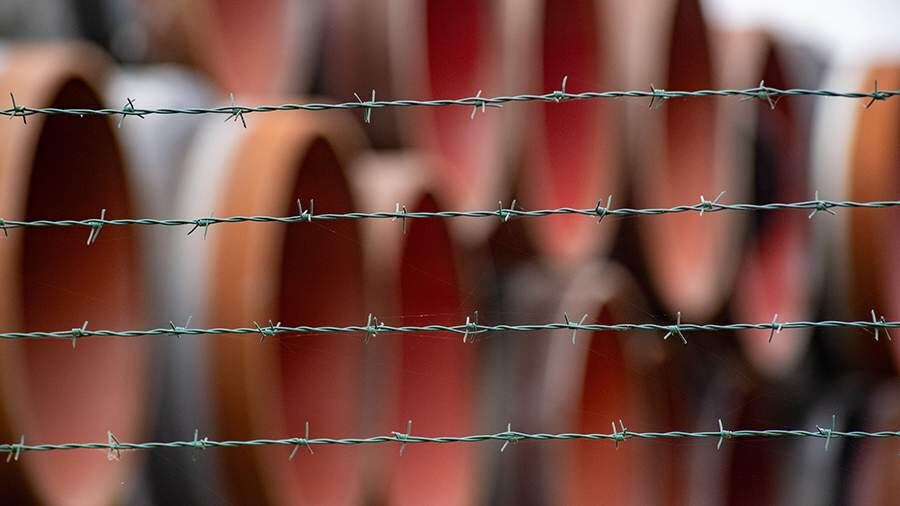    Фото: TASS/Stefan Sauer