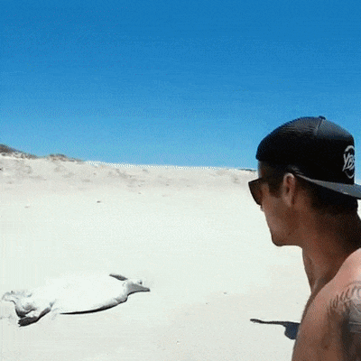 © to_the_tenth_power 