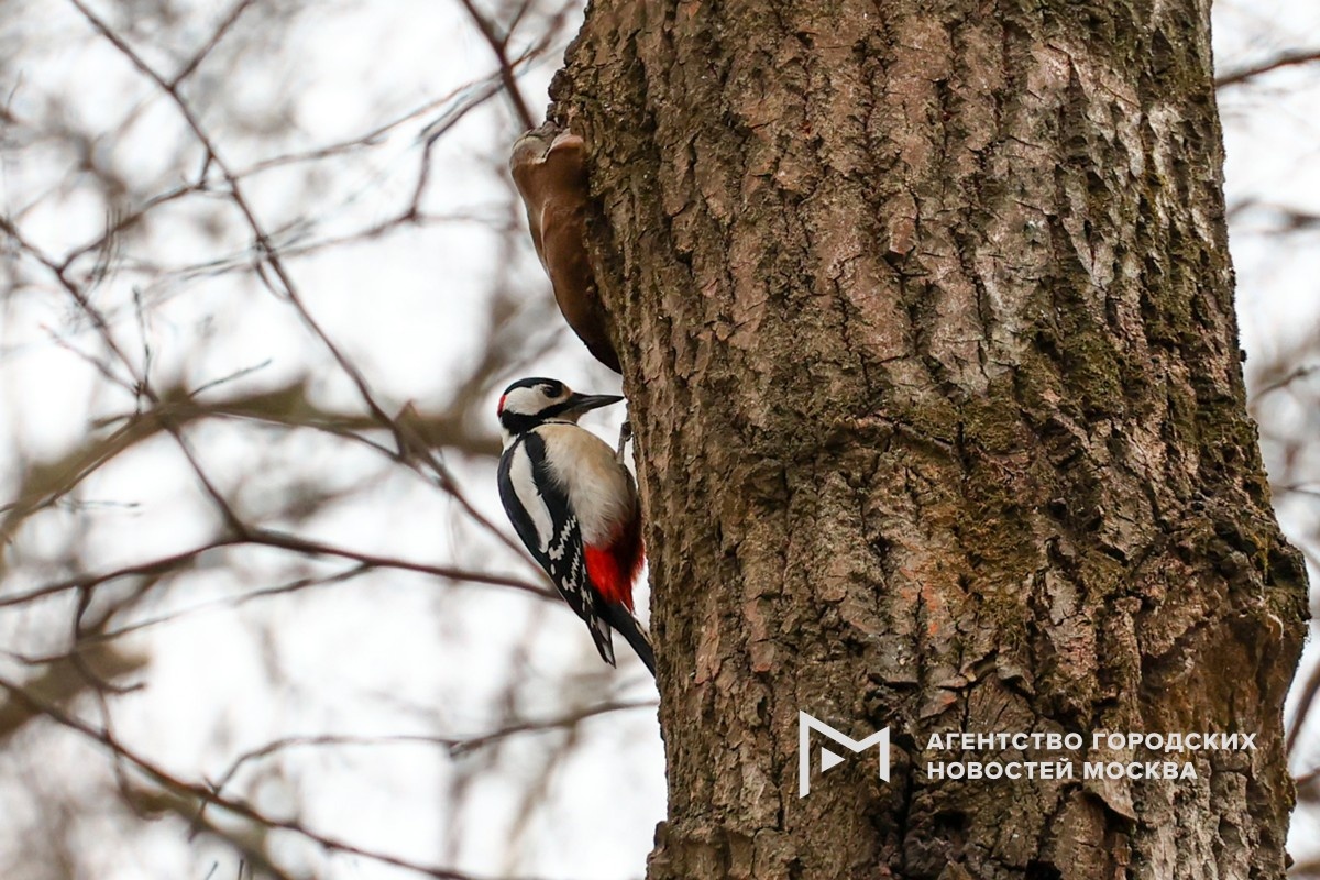 Фотограф: Ярослав Чингаев