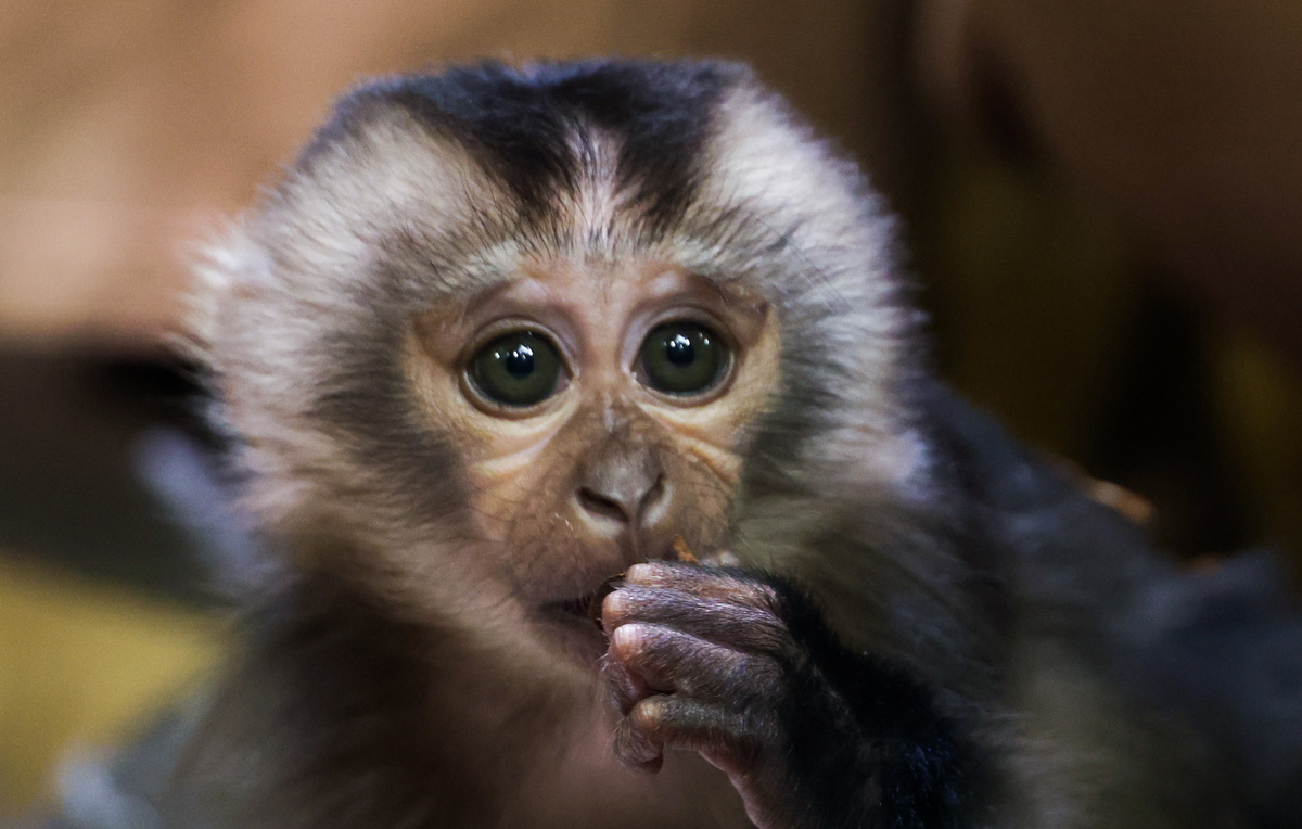 Александр Демьянчук/ТАСС