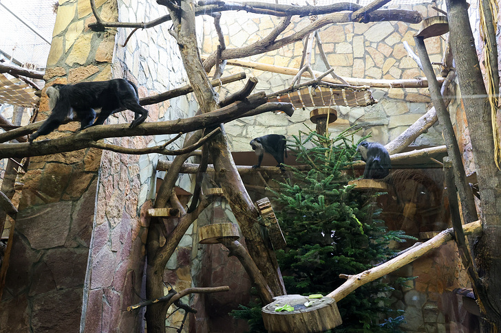 © Александр Демьянчук/ ТАСС