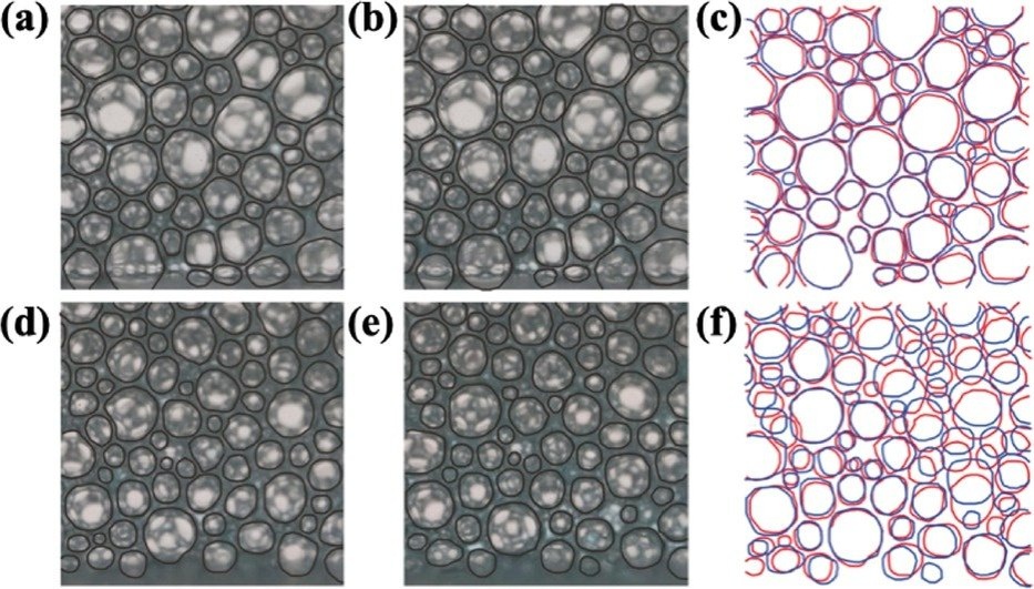    Пределы поглощения пены определяются кинематической связью между раствором и пузырьками.