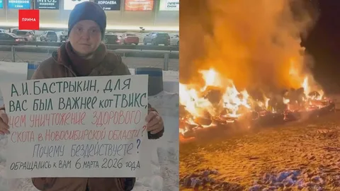 «Козиха пала, Чернокурье сдалось»: что известно на 24 марта о ситуации с фермерами перед завтрашним пикетом