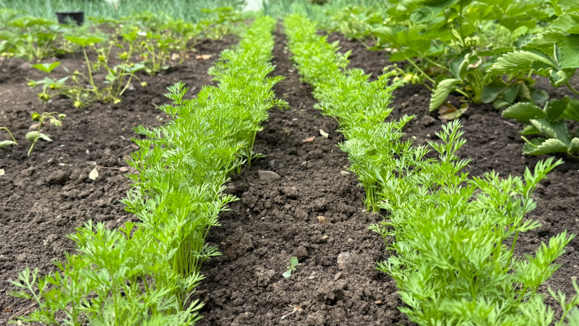    Фото: ПроГород