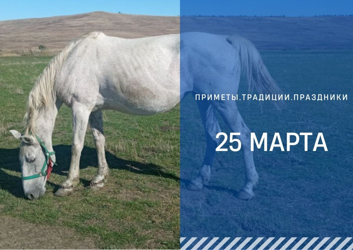   ГТРК "Ставрополье"