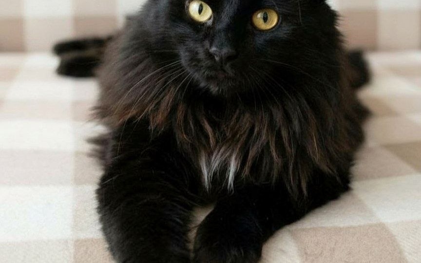 Бросили на детской площадке