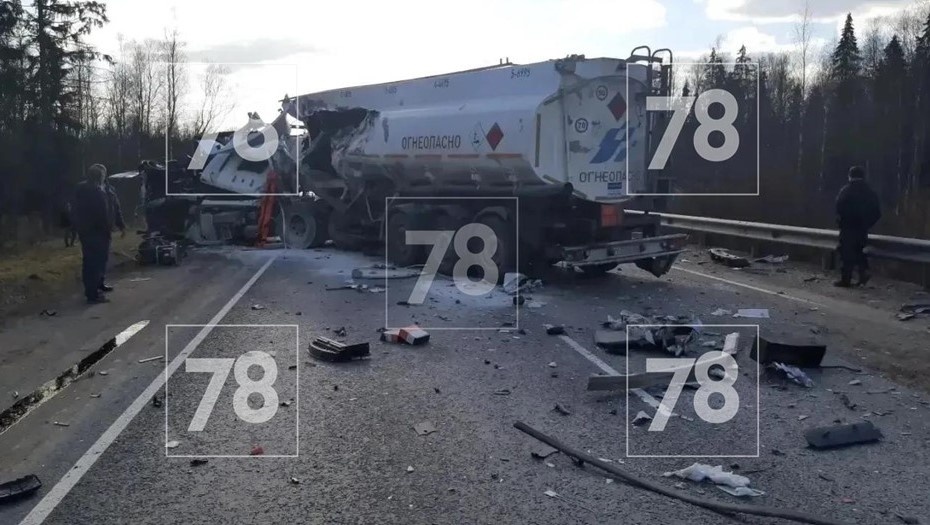    Автор фото: 78.ru