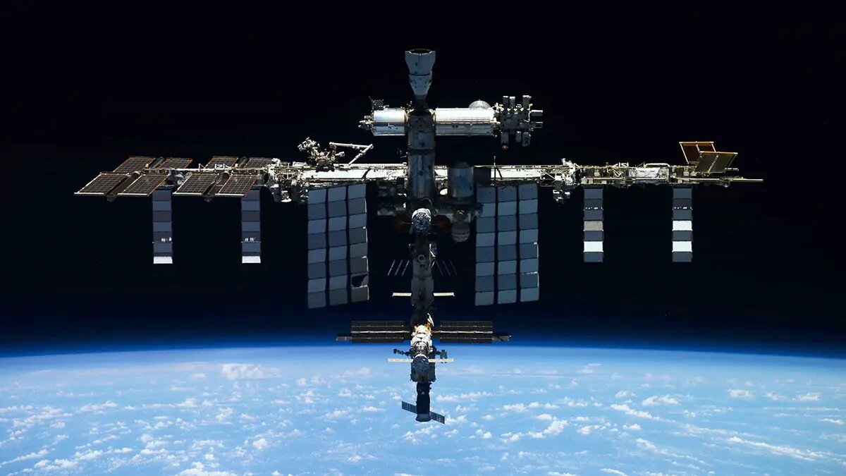    Источник: vm.ru/ Алиса Седова