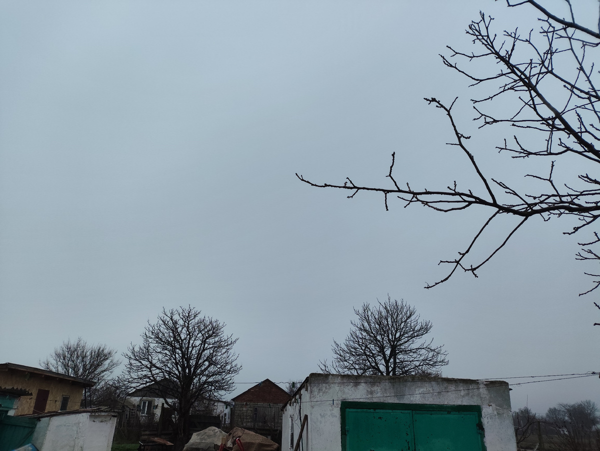 Мряква-ква-ква