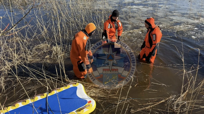 Фото: https://max.ru/id7825437330_gos/AZ0gGWeYDc0