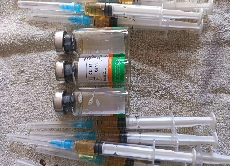 💉 Вакцинация по бешенству — сделано