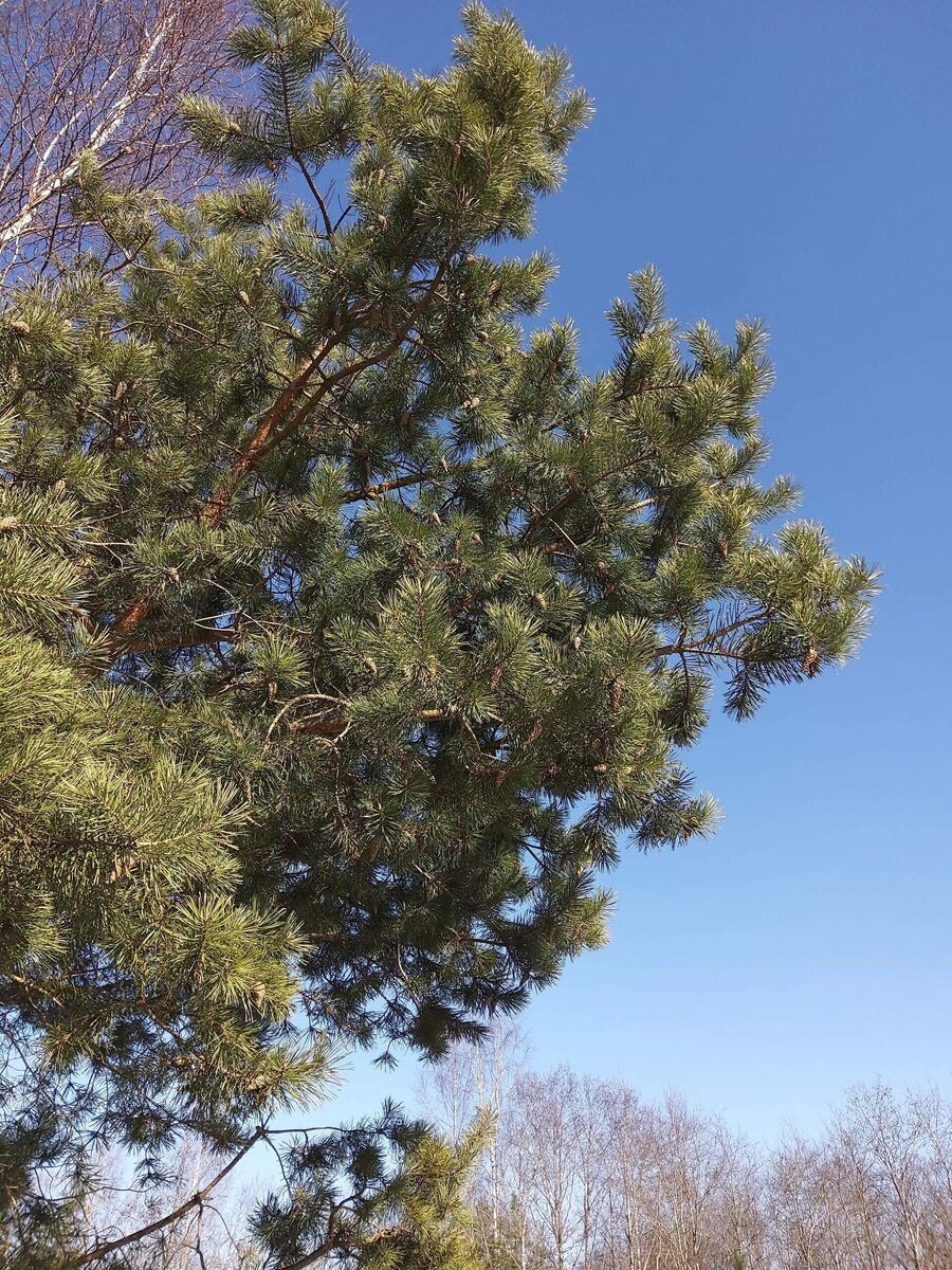 Фото с прогулки.