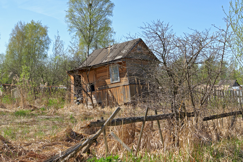    Фото: grach_a/shutterstock