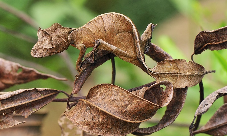 Музейный апрель