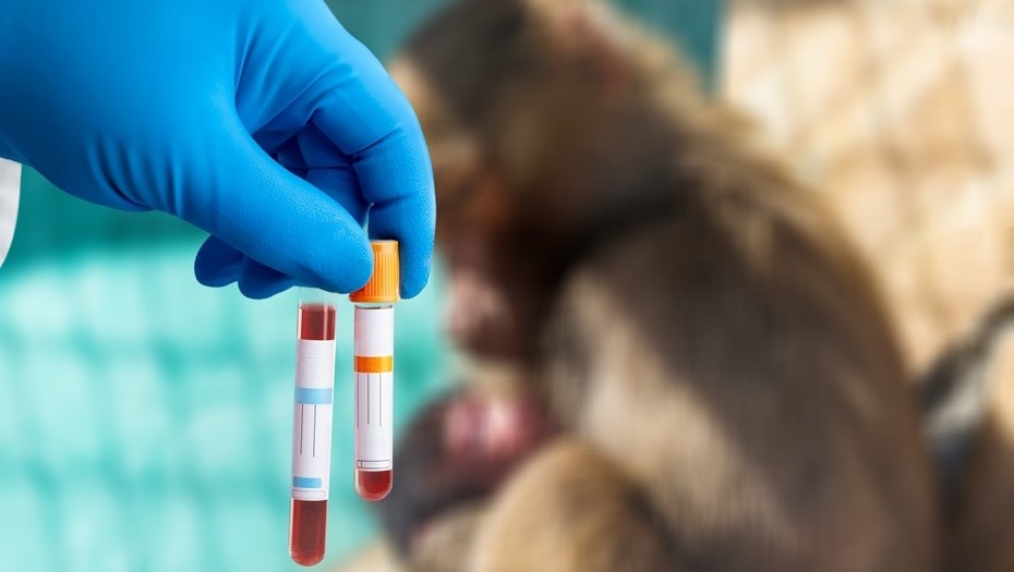    Автор фото: Billion Photos / Shutterstock / FOTODOM